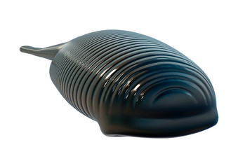 3D Rendering Leech on White