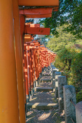 稲荷神社の鳥居