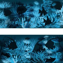 Underwater banners with algae and tropical fish, vector illustration