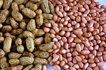  In shell Raw Peanuts and peanuts
