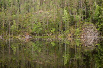 Landscape reflection from forest lake in Finland
