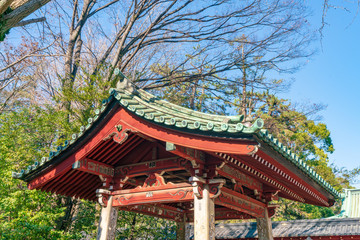 Fototapeta premium 根津神社