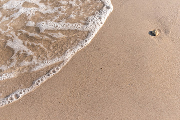 Top view sand background Copy space for text. Sea beach and soft wave.
