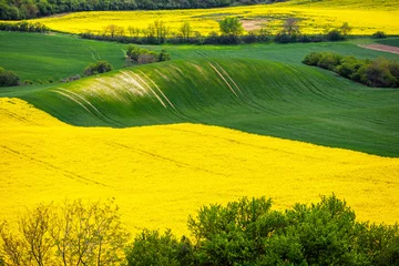  Scenic view of beautiful Moravian Tuscany landscape in South Moravia, Czech Republic. © 1tomm