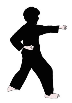 posizioni e tecniche Karate