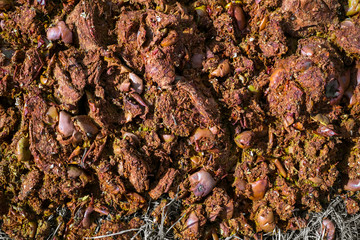 decayed apples in the yard to the country