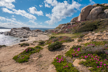 La Maddalena Archipelago National Park, on the coast of Sardinia province of Sassari,  northern Sardinia, Italy.