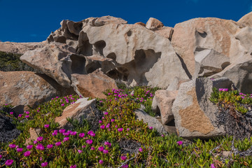 La Maddalena Archipelago National Park, on the coast of Sardinia province of Sassari,  northern...
