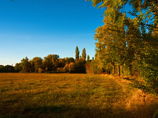 herbst im fechenheimer mainbogen in frankfurt