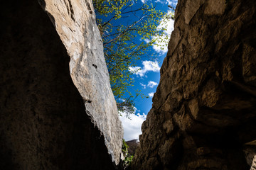 foreshortening of sky and trees among the stones of the ruins