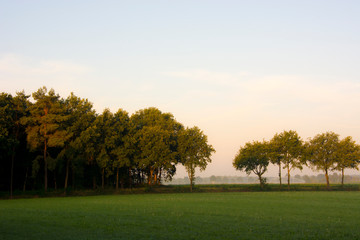 Pola na wsi z rana podczas mgły i wschodu słońca