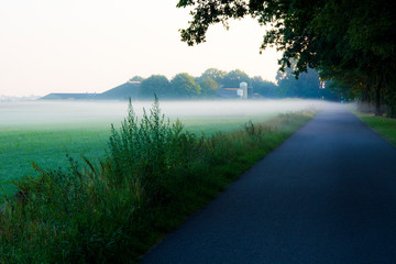 Mgła i wiejska droga asfaltowa 