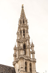 Fototapeta na wymiar Brussels' Town Hall