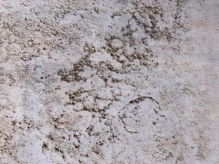 Background of smooth marble. Italian style. Texture