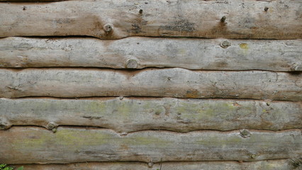 Wall of logs