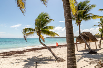Akumal Public Beach, Mexico. Beach in Cancun on the Yucatan Peninsula
