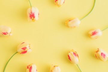 Flat lay composition with yellow tulips on a yellow background