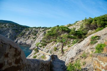Golitsyn trail (Falcon trail) in the Novy Svet village, Crimea