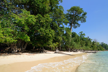 Virgin Lalaji beach at Long Island, Andaman and Nicobar Islands, India