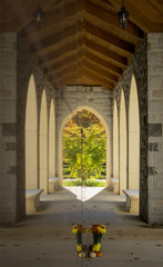 Fall foliage reflecting on a smooth polished marble wall, at Sleepy Hollow Cemetery, Upstate New York , NY, USA