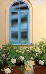 arched window with painted wooden shutters