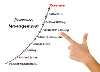 Diagram of Revenue  Management