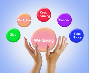 Drivers of wellbeing