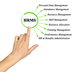 Functions of human resource management system