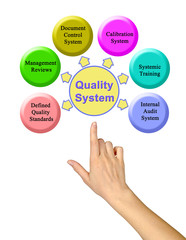 Components of  Quality System