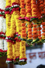 marigold flower market