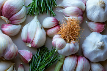 Young garlic, red onions and fresh rosemary on light background. Concept- organic vegetables, healthy food.