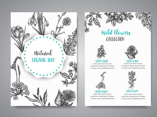 Hand drawn herbs and wild flowers cards Vintage collection of Plants Vector illustrations in sketch style