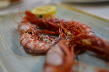 shrimps on a plate