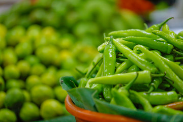 fresh green and red chilies shop in market