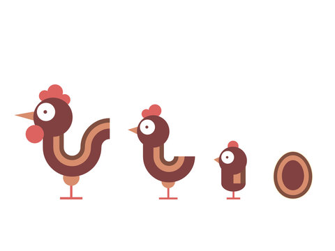 chicken family - cock, chicken, chicken and egg