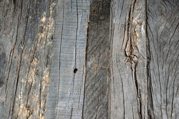 Old wooden boards with a rough texture, cracks, shabby wood.