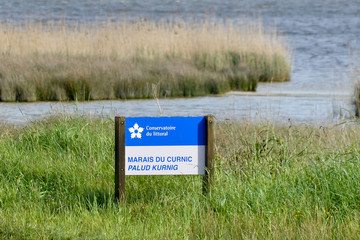 Marais de Curnic, conservatoire du littoral, Guisseny, Finistere, 29, Bretagne
