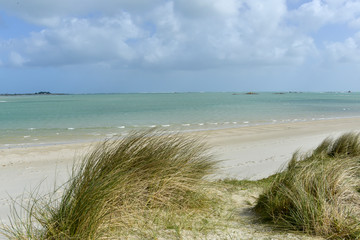 Oyat,  Ammophila arenaria, Dunes de Keremma, Site naturel protégé, Natura 2000, conservatoire du littoral, Plounevez Lochrist, Treflez, Finistère, 29