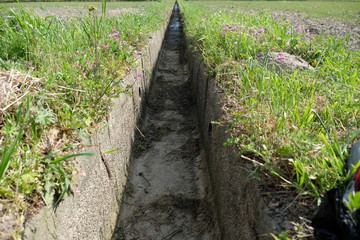 水田地帯の水路