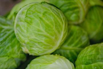Fototapeta premium Fresh vegetable shop in indian market