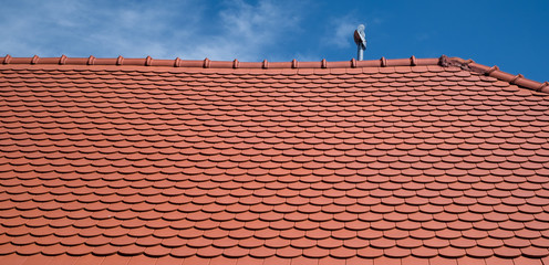 Modern roof tiles red color photographed in the distance