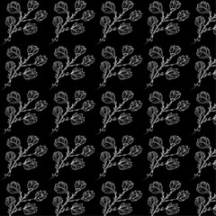 Sprig of magnolia. Pencil drawing in the form of a sketch. Can be used in printing.	