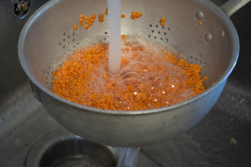 Preparaciones veganas