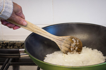 Preparaciones veganas