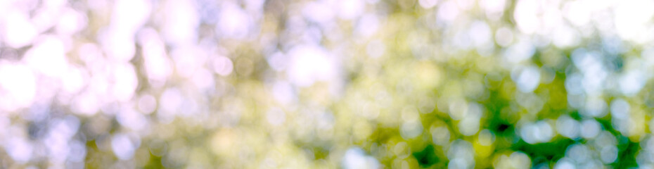 Fototapeta premium abstract image of natural background closeup