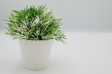 Fake small plants in plastic pot concept on the white background isolated