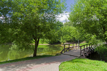 A small pond in the south-west of Moscow, Russia.