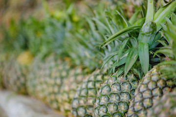 Pineapple fruit shop
