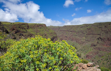 Gran Canaria, April