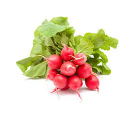 bunch of radish